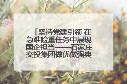 坚持党建引领 在急难险重任务中展现国企担当——石家庄交投集团做优做强典型报道之一