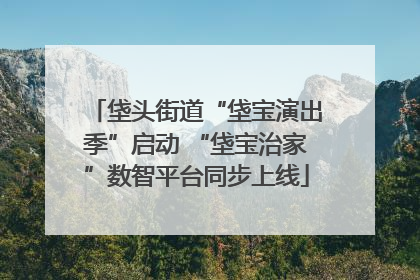 垡头街道“垡宝演出季”启动 “垡宝治家”数智平台同步上线