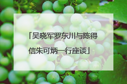 吴晓军罗东川与陈得信朱可炳一行座谈
