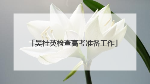 吴桂英检查高考准备工作