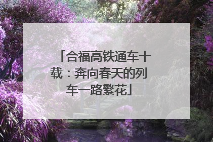 合福高铁通车十载：奔向春天的列车一路繁花