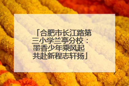 合肥市长江路第三小学兰亭分校：墨香少年乘风起 共赴新程志轩扬