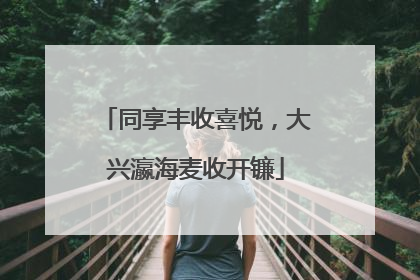 同享丰收喜悦，大兴瀛海麦收开镰