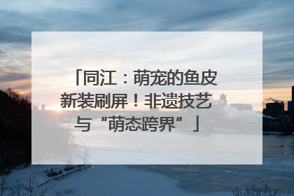 同江：萌宠的鱼皮新装刷屏！非遗技艺与“萌态跨界”