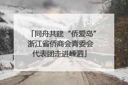 同舟共建“侨爱岛” 浙江省侨商会青委会代表团走进嵊泗