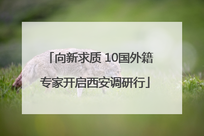 向新求质 10国外籍专家开启西安调研行