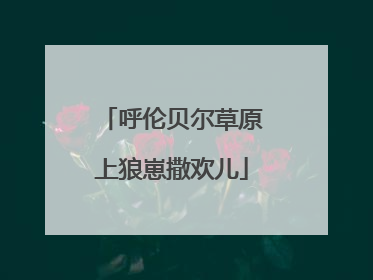 呼伦贝尔草原上狼崽撒欢儿