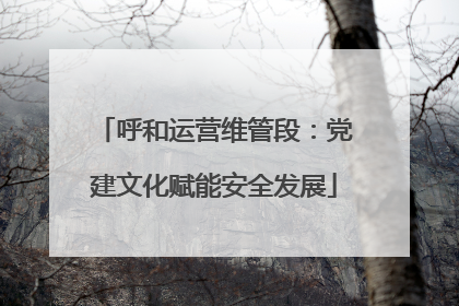 呼和运营维管段：党建文化赋能安全发展