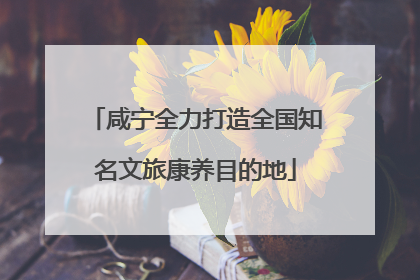 咸宁全力打造全国知名文旅康养目的地