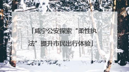 咸宁公安探索“柔性执法”提升市民出行体验