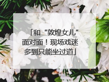 和“敦煌女儿”面对面！现场戏迷多到只能坐过道