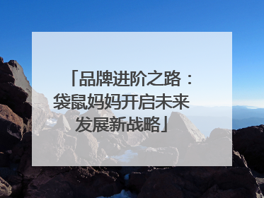品牌进阶之路：袋鼠妈妈开启未来发展新战略