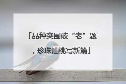 品种突围破“老”题，珍珠油桃写新篇