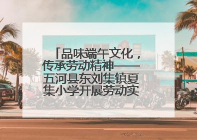 品味端午文化，传承劳动精神——五河县东刘集镇夏集小学开展劳动实践教育活动