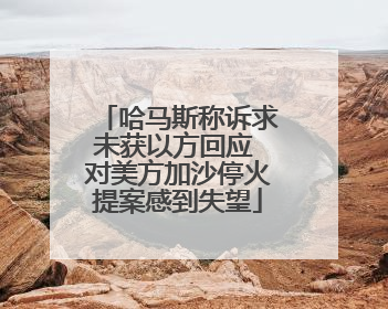 哈马斯称诉求未获以方回应 对美方加沙停火提案感到失望