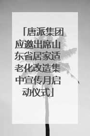 唐派集团应邀出席山东省居家适老化改造集中宣传月启动仪式