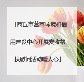 商丘市营商环境和信用建设中心开展麦收帮扶慰问活动暖人心