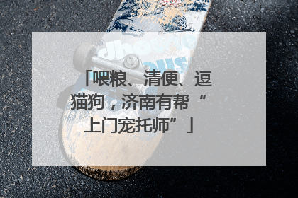 喂粮、清便、逗猫狗，济南有帮“上门宠托师”