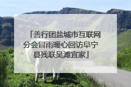 善行团盐城市互联网分会冒雨暖心回访阜宁县残联吴滩宜家