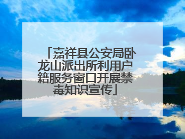 嘉祥县公安局卧龙山派出所利用户籍服务窗口开展禁毒知识宣传