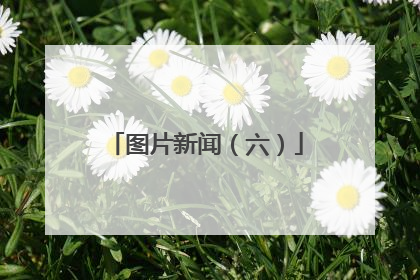 图片新闻（六）