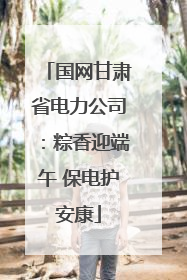 国网甘肃省电力公司：粽香迎端午 保电护安康