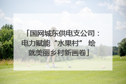 国网城东供电支公司：电力赋能“水果村” 绘就美丽乡村新画卷
