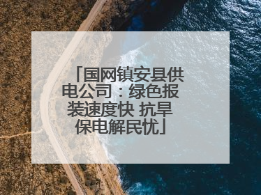 国网镇安县供电公司：绿色报装速度快 抗旱保电解民忧