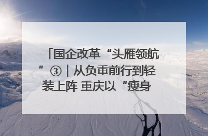 国企改革“头雁领航”③｜从负重前行到轻装上阵 重庆以“瘦身”谋“健体”