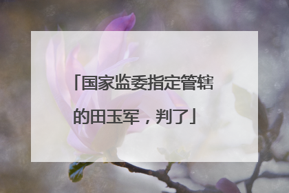 国家监委指定管辖的田玉军，判了