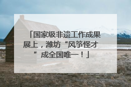 国家级非遗工作成果展上，潍坊“风筝怪才”成全国唯一！