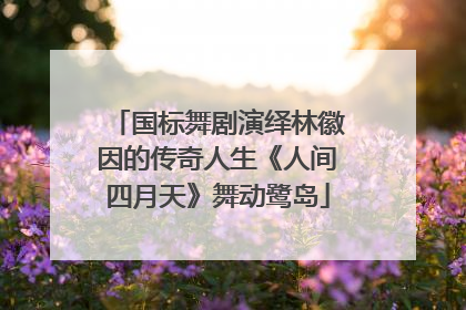 国标舞剧演绎林徽因的传奇人生《人间四月天》舞动鹭岛