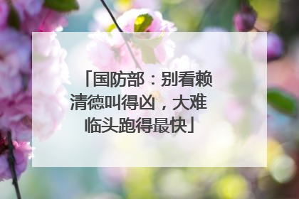 国防部：别看赖清德叫得凶，大难临头跑得最快