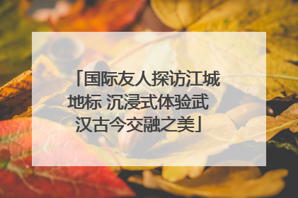 国际友人探访江城地标 沉浸式体验武汉古今交融之美