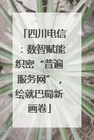四川电信：数智赋能织密“普遍服务网”，绘就巴蜀新画卷