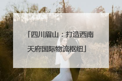 四川眉山：打造西南天府国际物流枢纽