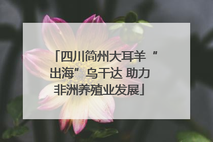 四川简州大耳羊“出海”乌干达 助力非洲养殖业发展