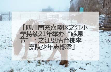 四川南充嘉陵区之江小学持续21年举办“感恩节”：之江恩情育桃李 嘉陵少年志栋梁