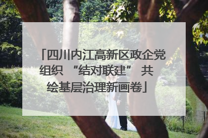 四川内江高新区政企党组织 “结对联建” 共绘基层治理新画卷