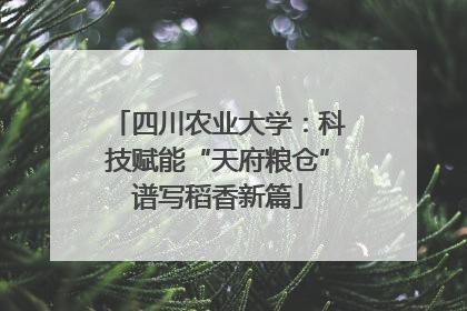 四川农业大学：科技赋能“天府粮仓”谱写稻香新篇