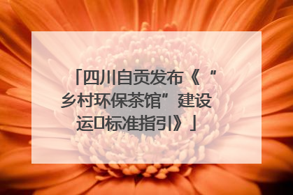 四川自贡发布《“乡村环保茶馆”建设运⾏标准指引》