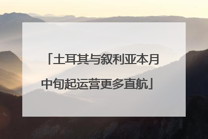 土耳其与叙利亚本月中旬起运营更多直航