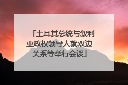 土耳其总统与叙利亚政权领导人就双边关系等举行会谈