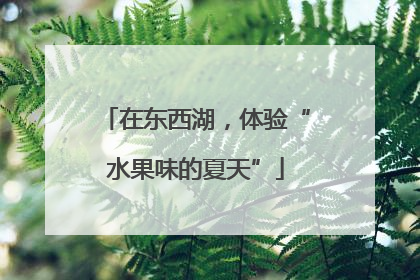 在东西湖，体验“水果味的夏天”