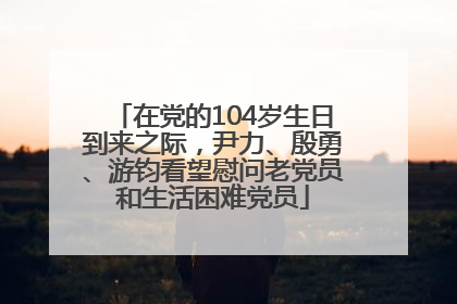 在党的104岁生日到来之际，尹力、殷勇、游钧看望慰问老党员和生活困难党员