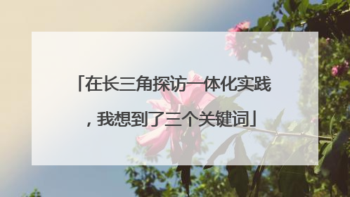在长三角探访一体化实践，我想到了三个关键词
