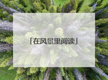 在风景里阅读