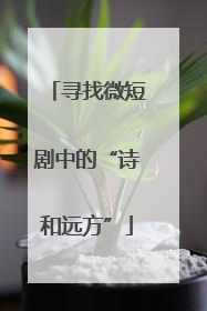 寻找微短剧中的“诗和远方”