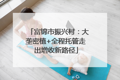 富锦市振兴村：大垄密植+全程托管走出增收新路径