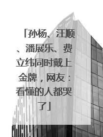 孙杨、汪顺、潘展乐、费立纬同时戴上金牌，网友：看懂的人都哭了
